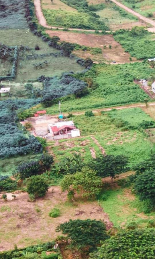 فندق Cerro Beach Sinchal المظهر الخارجي الصورة